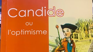 Lecture et analyse du chapitre 1 candide [upl. by Nrev]