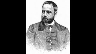 Émile Zola  La Fortune des Rougon Analyse [upl. by Kidder]