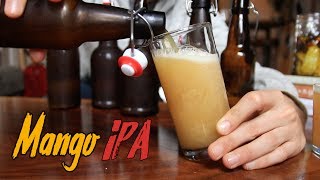 Idiots Guide to Making Incredible Beer at Home [upl. by Relyuc]