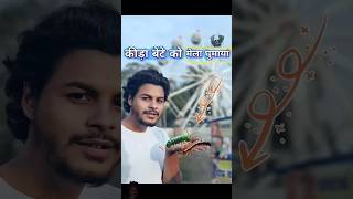 कीड़ा🐛बेटे को मेला🤩घुमाया comedy insect [upl. by Llig]