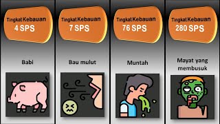 Bau Paling Busuk [upl. by Popele]