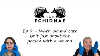 Ep2  When wound care isnt just about the person with a wound [upl. by Ylerebmik69]