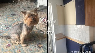 Maisy Gets a Haircut amp We Destroy the Kitchen  Daily Vlog [upl. by Fredra199]