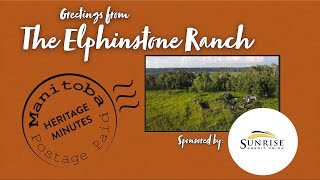 Manitoba Heritage Minute Elphinstone Ranch [upl. by Enom]