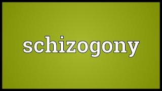 Schizogony Meaning [upl. by Lockhart]