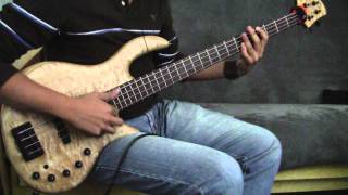 Elrick Gold Series Bass [upl. by Robbi]