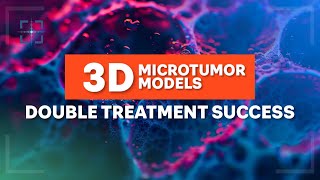 3d Microtumor Models Double Treatment Success [upl. by Ocnarf]