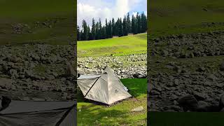 Camping Tents  Survival Test shortsfeed shorts camping nature [upl. by Beffrey]