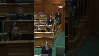 New Zealand MPs disrupt Parliament stage haka in protest of controversial Indigenous bill [upl. by Egreog753]