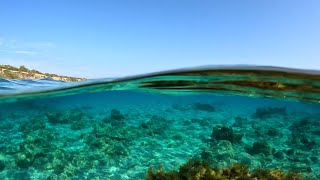 Nissi Beach Ayia Thekla Snorkelling With The Spinnaker Dolphin Project Cyprus EP 4 [upl. by Asil123]