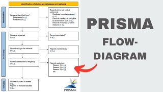 How to create a PRISMA FlowDiagram for systematic reviews 2024 [upl. by Manda]