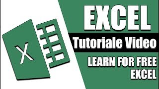 Tutoriale cursuri video Excel 2010  Exemplu practic Calcularea varstei in ani [upl. by Soluk222]