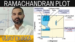 Ramachandran plot secondary structure of protein lecture 1 [upl. by Gignac]