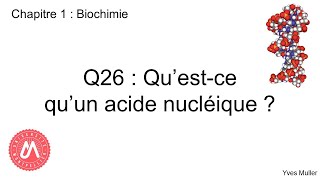 Chapitre 1  Biochimie  Q26  Questce quun acide nucléique [upl. by Magbie]