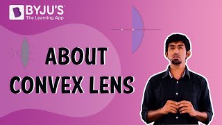 Convex Lens Explained [upl. by Orlando]