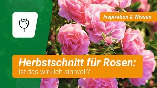 Rosen im Herbst schneiden Ja oder nein 🤔 [upl. by Eelame]