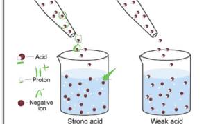 Acids and Bases Dissociation [upl. by Karlee]