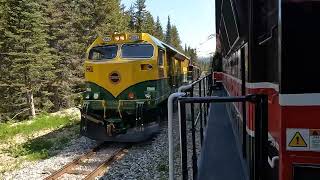 Royal Caribbean’s Ovation of the Seas Alaska Cruise excursion to the White Pass amp Yukon Railway [upl. by Adnohsor]