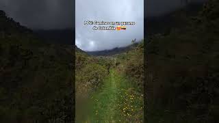 Que lindo el paramo de Colombia 😍🇨🇴 [upl. by Lairbag818]