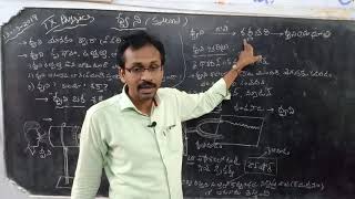 sound  ద్వని  IX physics TM [upl. by Olsson]