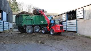 Schaffer 3550T SLT Loader Clearing Cattle Sheds [upl. by Robillard153]