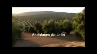 Andaluces de Jaén  Jarcha [upl. by Lipp]