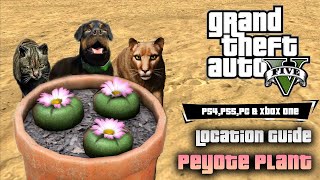 GTA 5  Peyote Plants Complete Location Guide 2024 [upl. by Coats595]