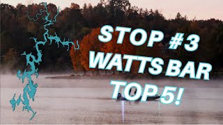 BASS Nation State Trail Stop 3 Watts Bar Lake 10262024 Top 5 [upl. by Ayeki]