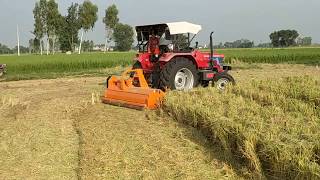 Mulcher  Paddy straw chopper [upl. by Otanod]