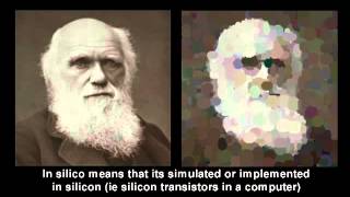 Evolving Darwin  Genetic Algorithm [upl. by Anivlis56]