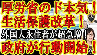 【『あ！日本財政が破綻する！テヘペロぉ！』遂に動いた日本政府ぅ！厚生労働省が調査完了！いよいよ外国人生活保護を撲滅じゃ♪】厚労省最高！年金脱退一時金の超一級報告書キタぁ！日本政府の公式資料を完全解説！ [upl. by Philina]