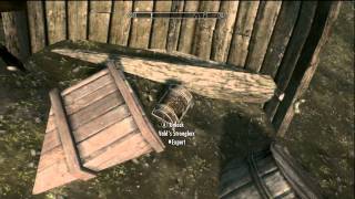 Skyrim  The Quill of Gemination Location Guide  The Pursuit [upl. by Joris668]