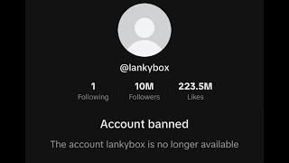 lankybox just got banned [upl. by Lyrem]