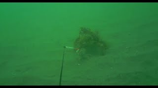 Selsey Beach underwater action [upl. by Sorkin955]