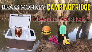 BRASS MONKEY 25 LITRE CAMPING FRIDGE REVIEW  SEPS ADVENTURES [upl. by Hans]