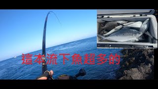 磯釣這個本流又快又好玩 下面都是魚 拉竿噴線的快感 澎湖東吉鋤頭嶼磯釣gamakatsu 澎湖東吉shimano daiwa [upl. by Johnny288]