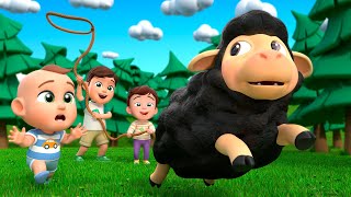 Baa Baa Black Sheep Song  More Kids Songs amp Nursery Rhymes  Almama [upl. by Hgiellek]