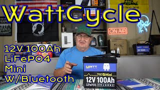 WattCycle LifePO4 12v 100Ah Battery Review [upl. by Notsirt574]