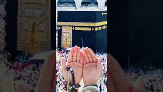 Ameen 🤲 ya Rabbi 🤲🙏 swira raza g 2526 vlogsytshorts ialamic shorts video [upl. by Baillie]