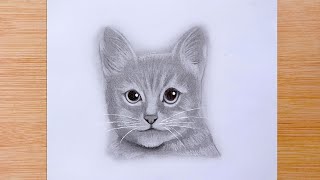 Easy Step By Step Cat Face Drawing For Beginners  Pencil Sketch [upl. by Assiruam548]