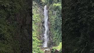 Dominica Trafalgar Falls part 2 [upl. by Pebrook653]