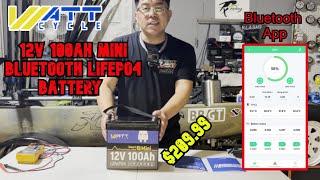 WattCycle 12V 100Ah Mini Bluetooth LiFePO4 Battery [upl. by Goulette]