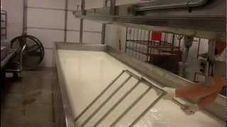 Making Watonga Cheese [upl. by Arne]