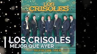 LOS CRISOLES  MEJOR QUE AYER [upl. by Carlye]