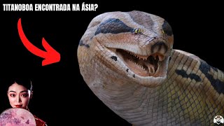 Titanoboa encontrada na Ásia [upl. by Eibor]