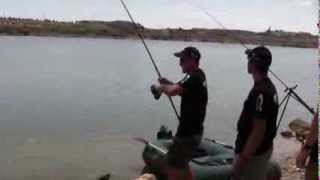 200lb Catfish Catfishing River Ebro Caspe Mequinenza Hacienda angling Ebrocatquest part 1 [upl. by Laemsi]