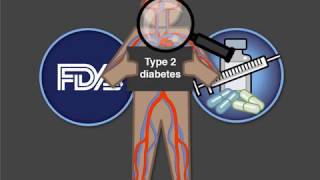 Semaglutide and Cardiovascular Risks [upl. by Ennirac]