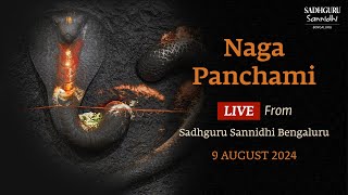 Naga Panchami – Live from Sadhguru Sannidhi Bengaluru  9 Aug 2024  620 PM IST [upl. by Kedezihclem]