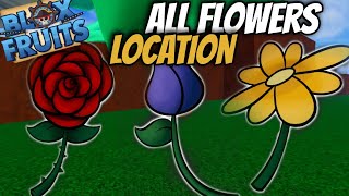 ALL FLOWER LOCATION TOGET RACE V2 blox fruits [upl. by Enelrahs752]