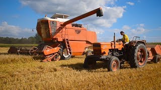 Chantier XL Moisson orge de Printemps FiatSomeca M120 amp M182 IN FRANCE [upl. by Malia942]